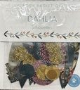 dahlia silhouettes.jpg