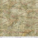 Expedition Multi by Tim Holtz from FreeSpirit Fabrics