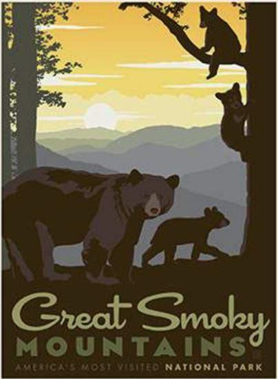 National Park Great Smoky Mountains Fabric Panel From Riley Blake Designs