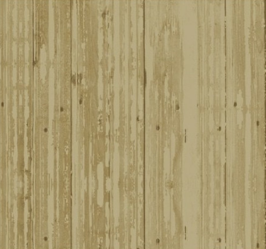 Early Bird Woodgrain Grey from Windham Fabrics