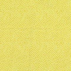 Garden Pindot Starfruit From Micheal Miller Fabrics