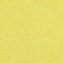 Garden Pindot Starfruit From Micheal Miller Fabrics