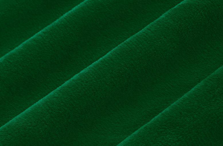 Solid Cuddle Evergreen From Shannon Fabrics