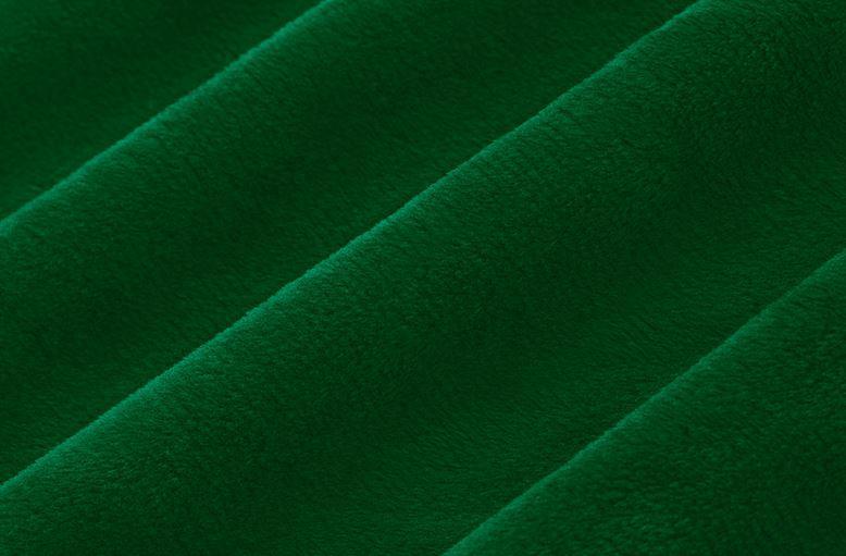 Solid Cuddle Evergreen From Shannon Fabrics