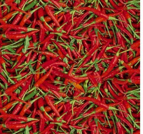 A La Carte Hot Peppers From Windham Fabrics