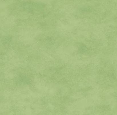 Shadow Play Butterfly Green from Maywood Studio