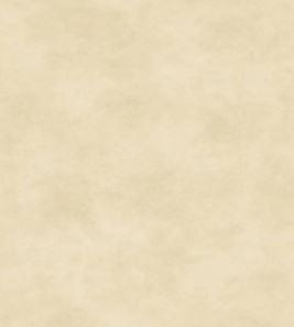 Shadow Play Antique Cream From Maywood Studio