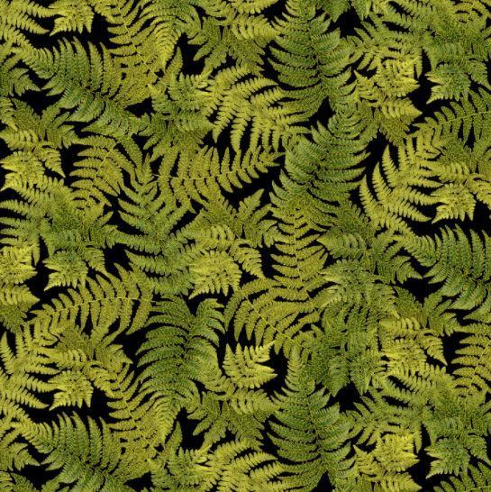 Harvest Metallic Fern  Leaves Black From Timeless Treasures