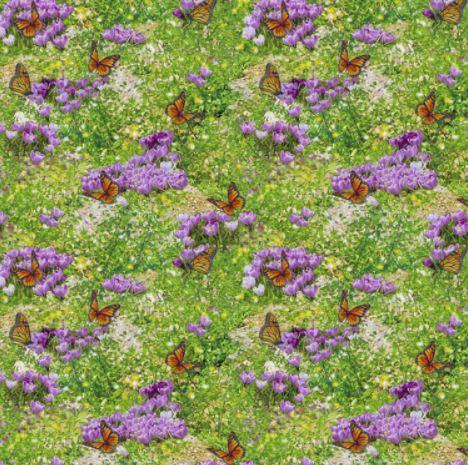 Steam In The Spring Foilage With Butterflies From 3 Wishes