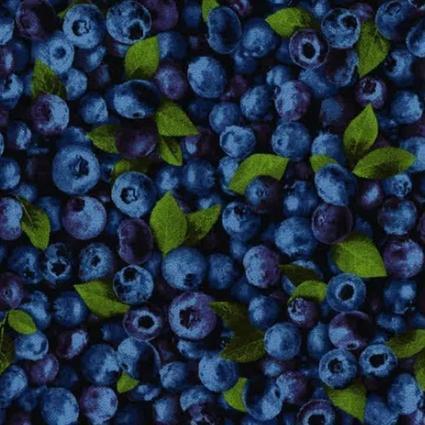 Market Place Blueberries By Oasis Fabrics