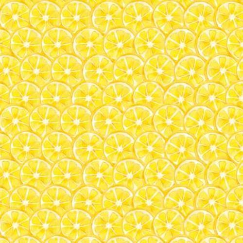 Squeeze The Day Citrus Slices Yellow By Cynthia Coulter For Wilmington Prints