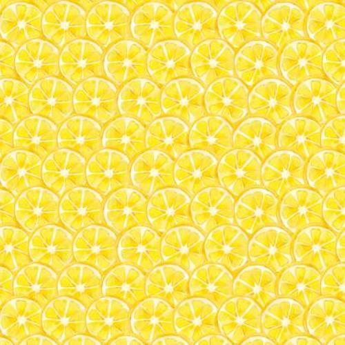 Squeeze The Day Citrus Slices Yellow By Cynthia Coulter For Wilmington Prints
