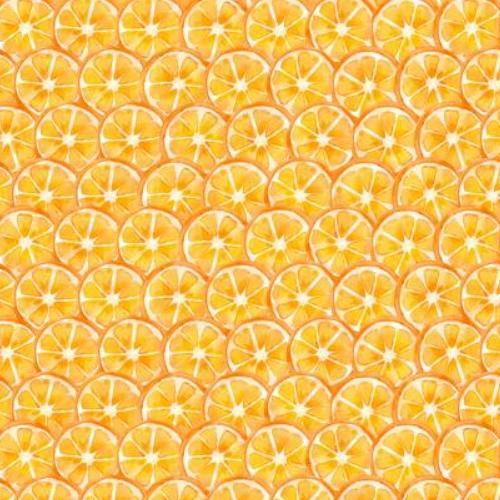 Squeeze The Day Citrus Slices Orange By Cynthia Coulter For Wilmington Prints