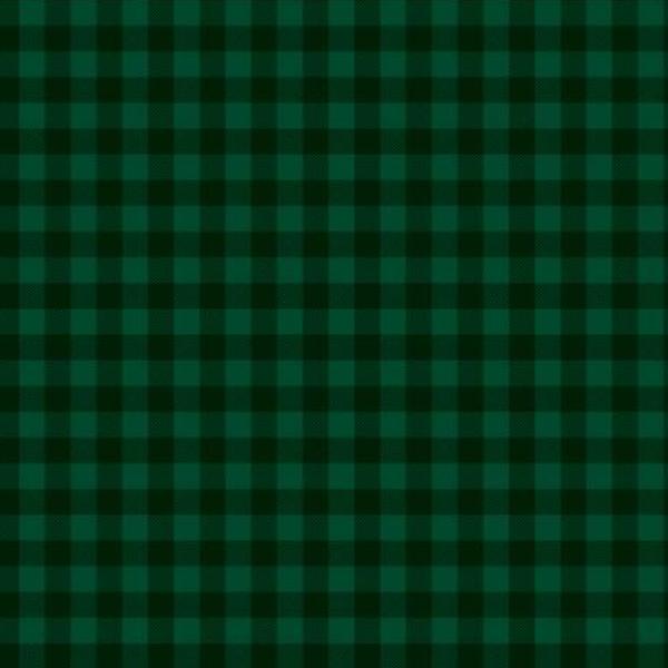 Buffalo Check Dark Green From Wilmington Prints