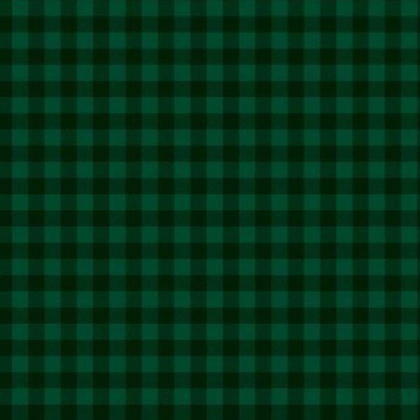 Buffalo Check Dark Green From Wilmington Prints