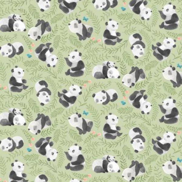 Panda-Monium Bearly Awake Celery By Dear Stella