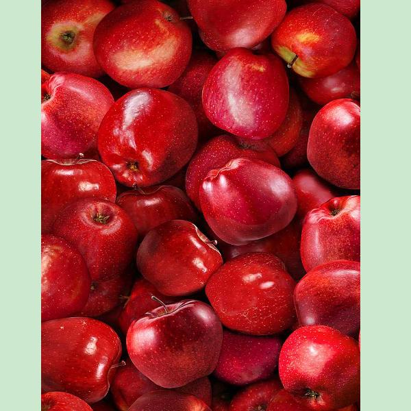 Fruit Bowl Apples Red By Timeless Treasures