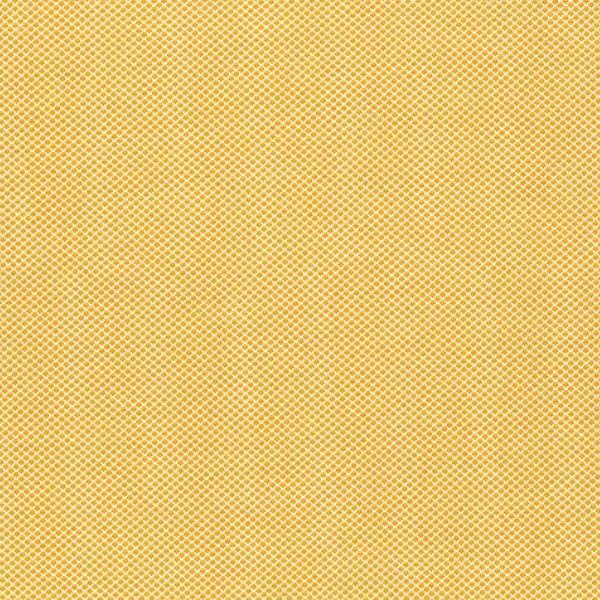 Indigo Cheddar Check Cheddar By Andover