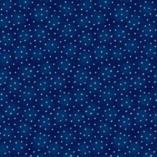 Starlet Navy From Blank Quilting