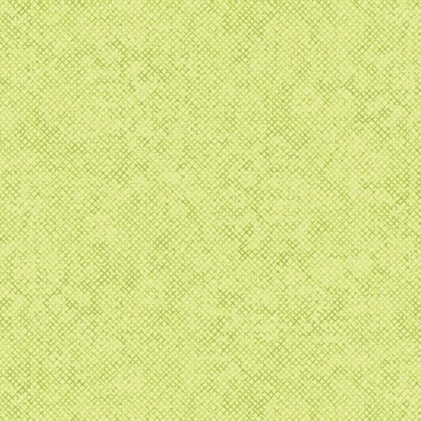 Whisper Weave Too Pistachio By Nancy Halvorsen For Benartex 