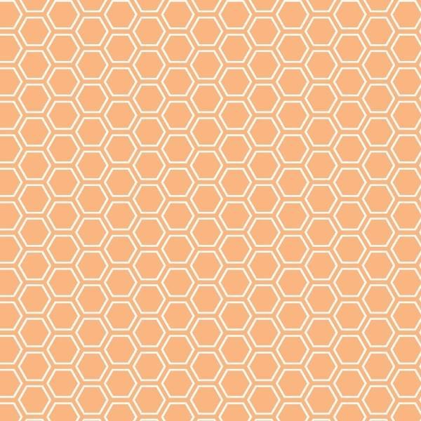 Kimberbell Basics Honeycomb Orange By Kim Christopherson For Maywood Studio