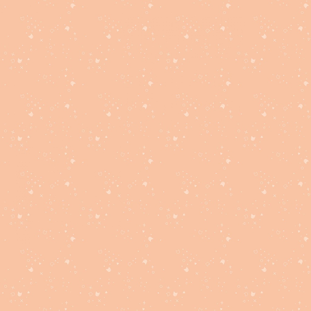 Kitty Litter Blender Cantaloupe  From Dear Stella 