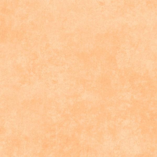 Shadow Play Creamsicle From Maywood Studio