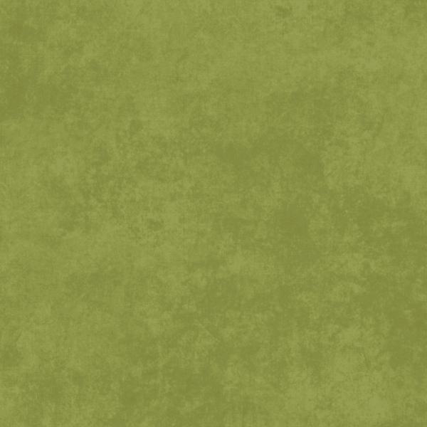 Shadow Play Willow Green From Maywood Studio