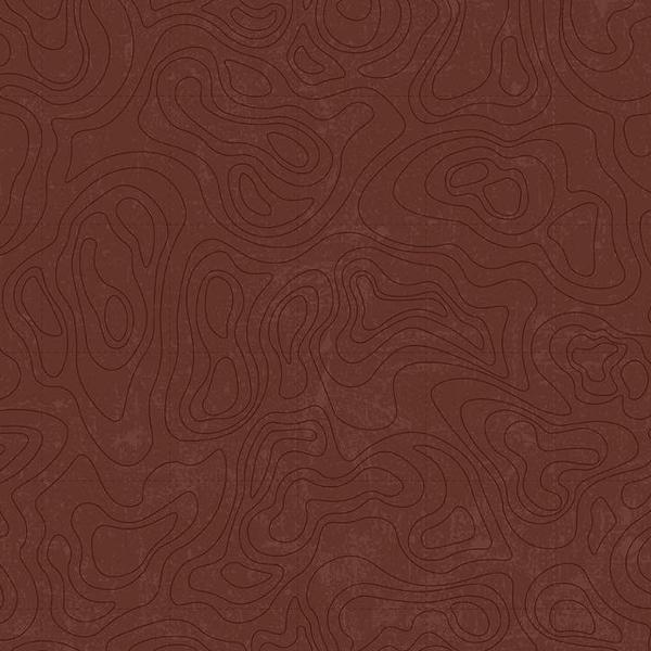 National Parks Topographic Brown By Anderson Design Group For Riley Blake