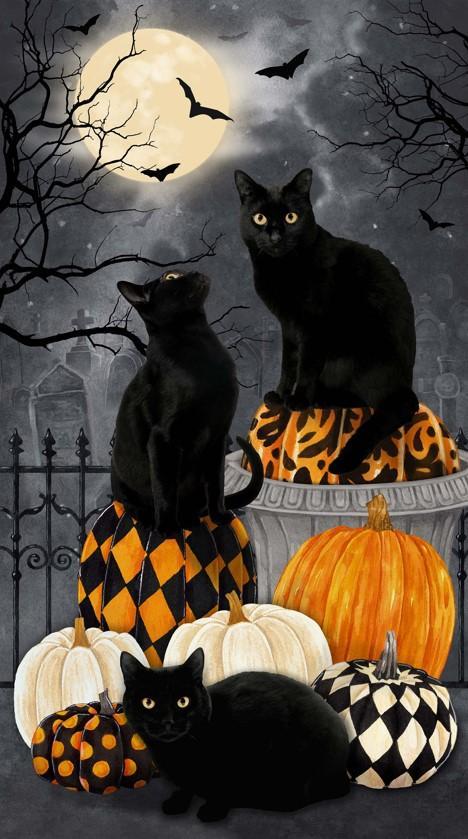 Hallow'S Eve Black Cat Panel By Cerrito Creek Studio For Northcott Fabrics 