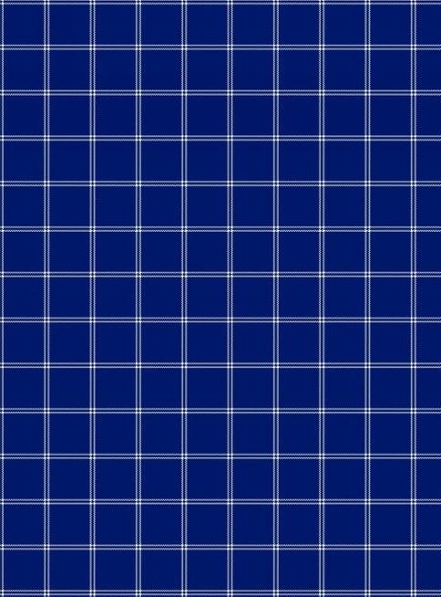Blue Plaid Hand Towel From Studio E Fabrics