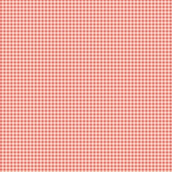 The Tale Of Peter Rabbit Gingham Tea Rose By Beatrix Potter For Riley Blake Designs