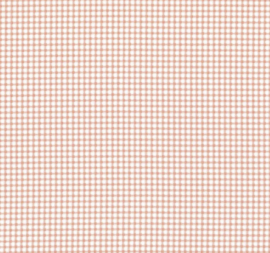The Tale Of Peter Rabbit Gingham Coral By Beatrix Potter For Riley Blake Designs