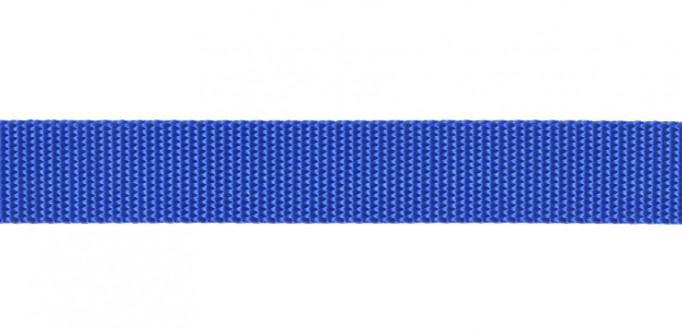 Nylon Webbing Royal 1In