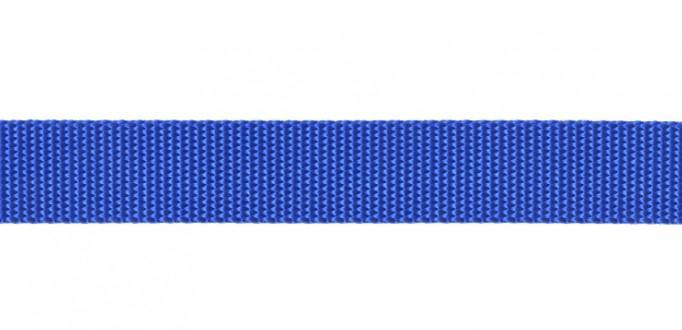 Nylon Webbing Royal 1In