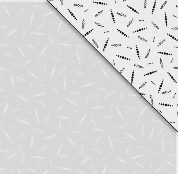 Ramblings 14 Pearled Lines White on White Tonal from P&B Textiles