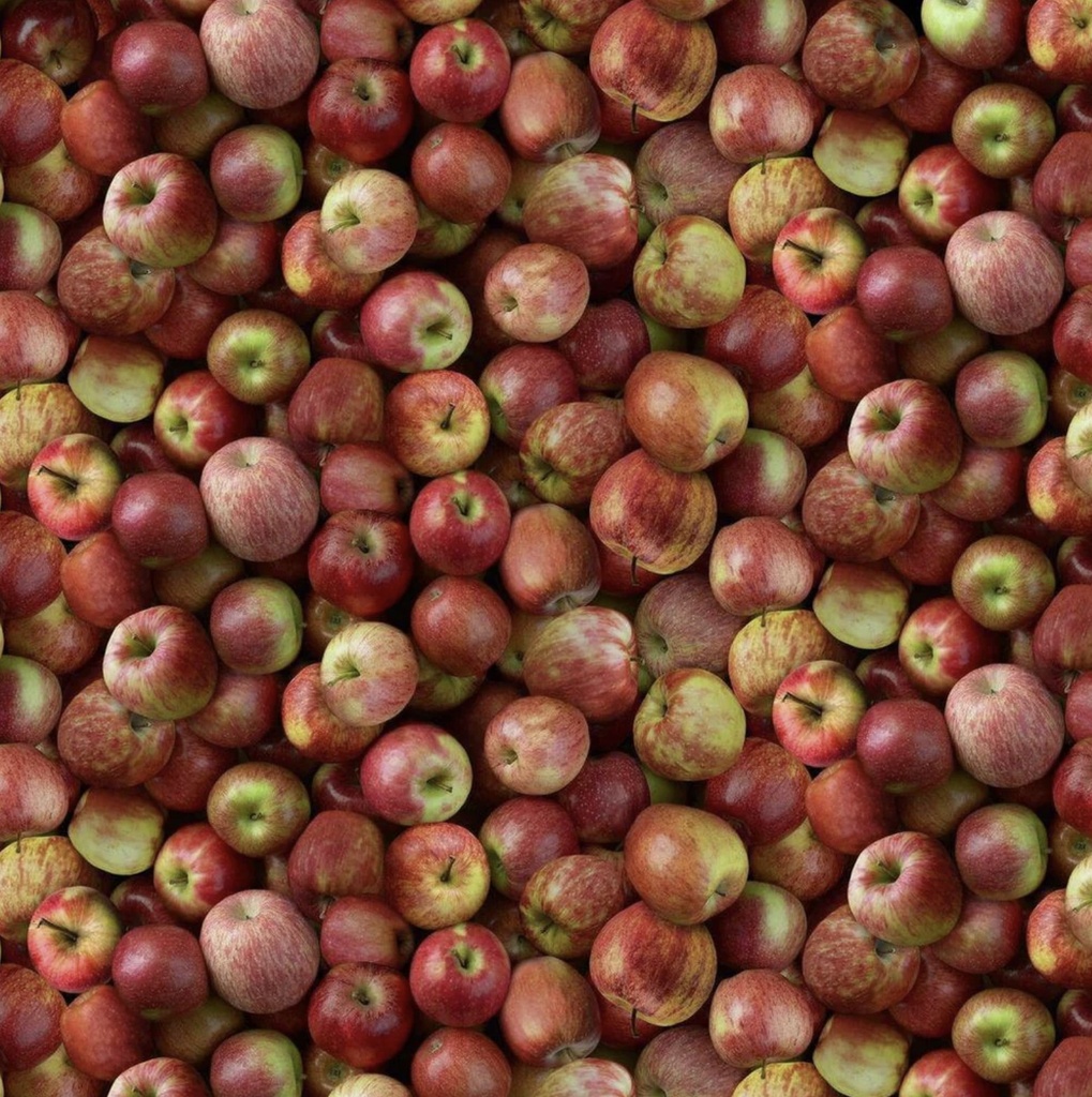 Cider Season Packed Apples Red from Timeless Treasures