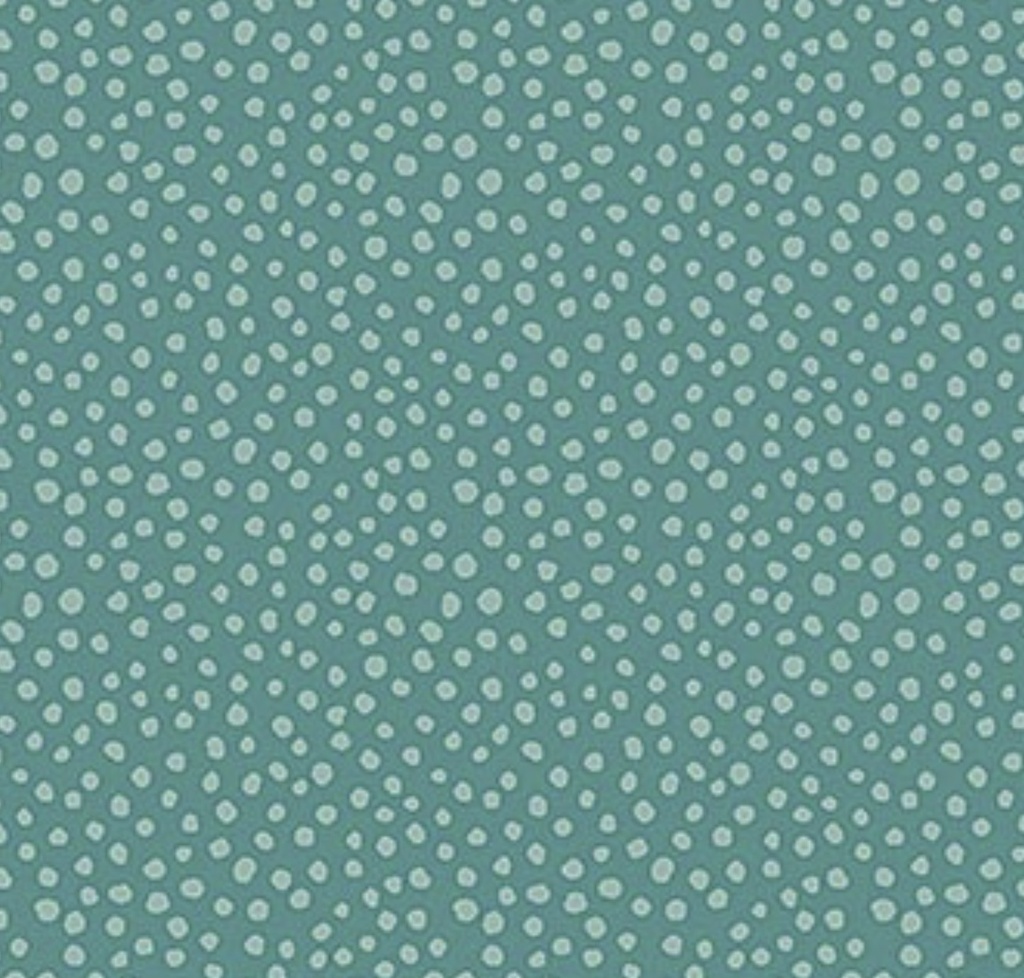 Backyard Bug Collector Dots Turquoise from Northcott