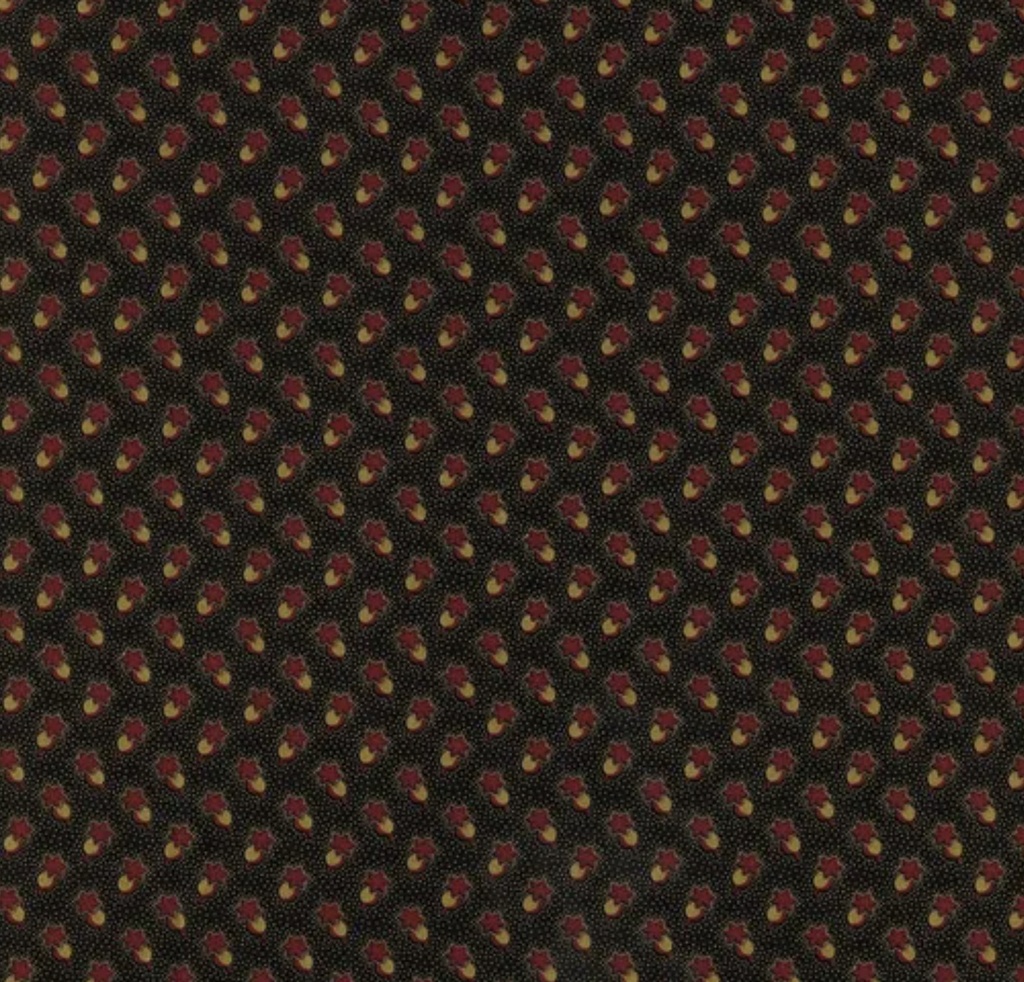 Butternut & Peppercorn Circle Star Black