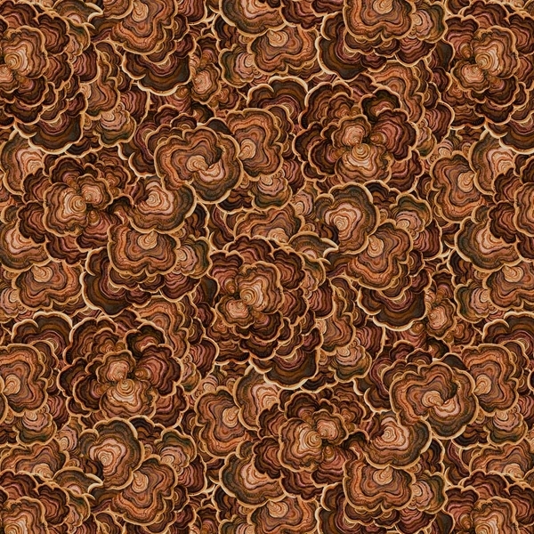 Wild Harvest Turkey Tail Rust by Deborah Edwards for Northcott Fabrics