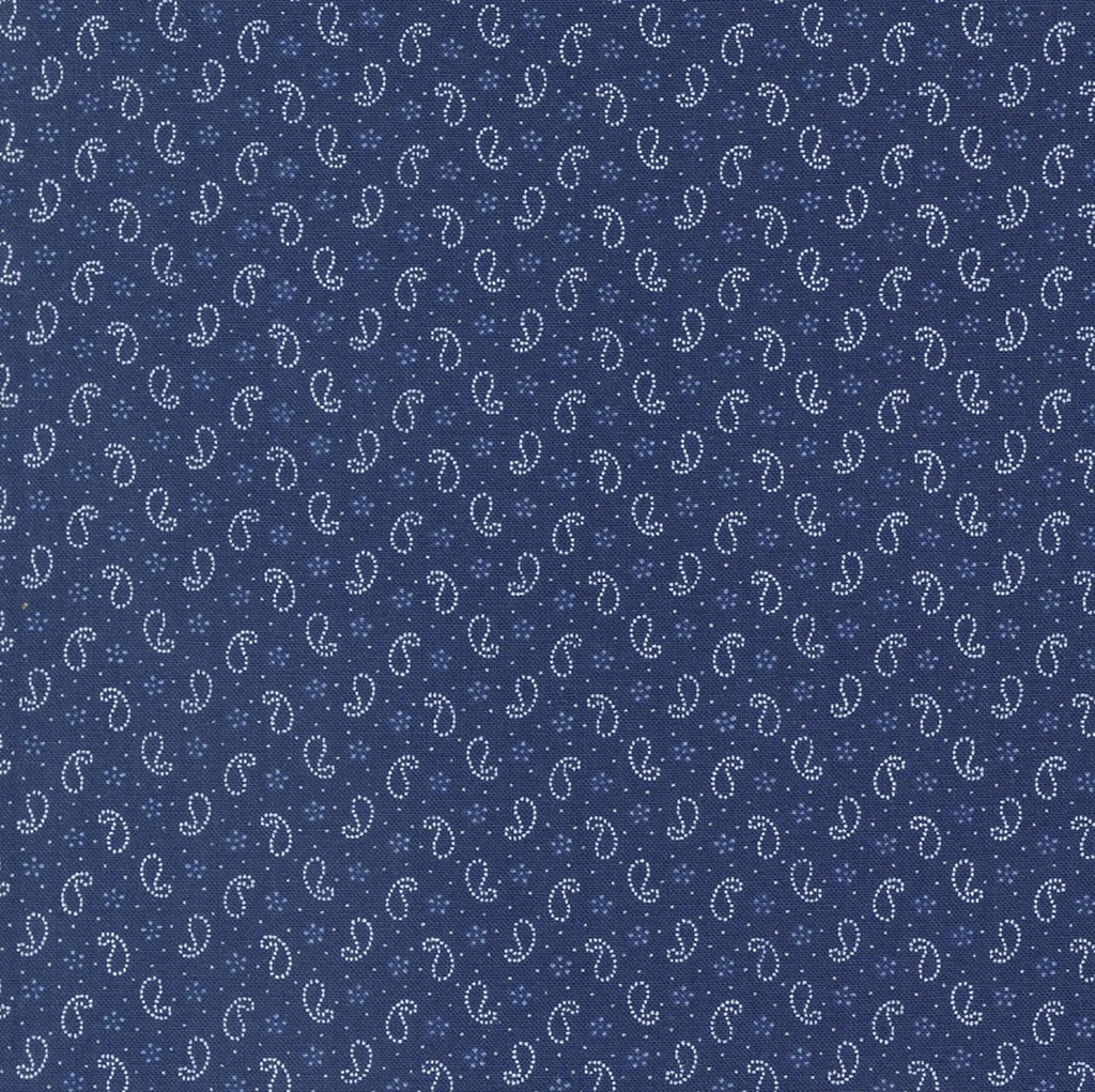 Denim Daisies Paisley Midnight