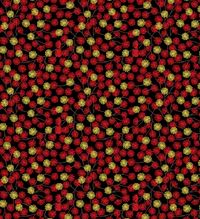 Year of the Dragon Gold Aster