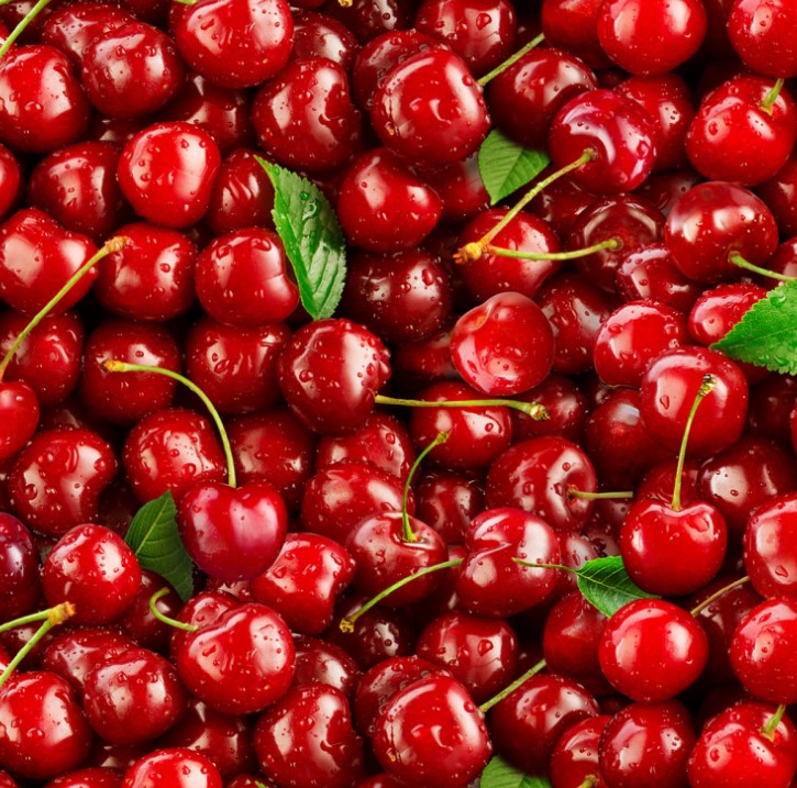 Food Festival Cherries Red from Elizabeth's Studio