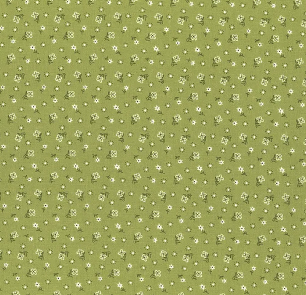 Calico Meadow Lettuce by Lori Holt for Riley Blake Designs