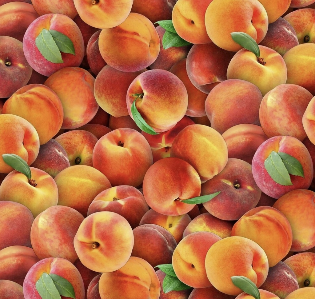 Food Festival Peaches from Elizabeth's Studio