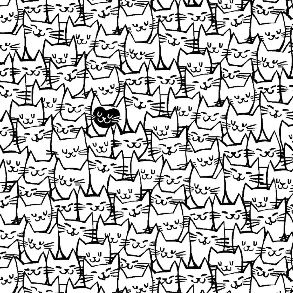 108in Quilt Backs White Packed Cats from Windham Fabrics 