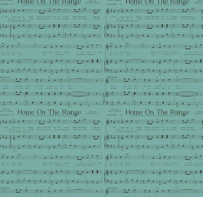Cowboys Music Teal by Echo Park Paper Co for Riley Blake Designs