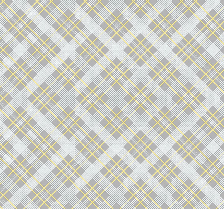 Fanfare Bias Plaid Gray by Whistler Studios for Windham Fabrics