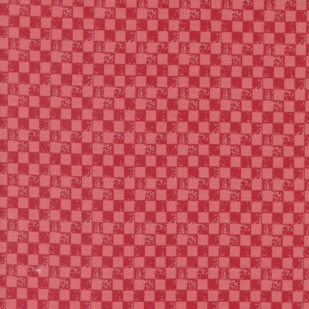 Love Blooms Checkerboard Rose