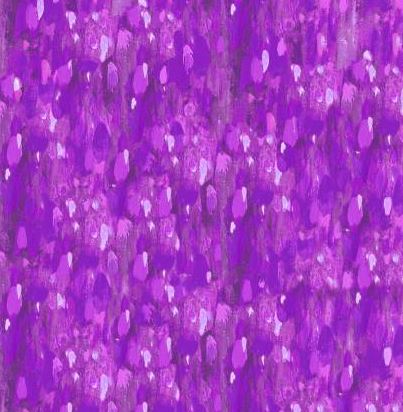 Crazy Kitties Painted Texture Purple